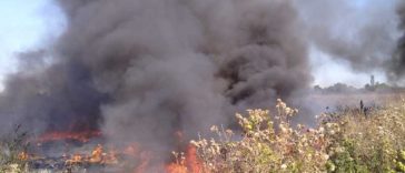 Dâmbovița: Incendiul de la Bălteni a fost lichidat; au ars deșeuri menajere, mase plastice și vegetație uscată