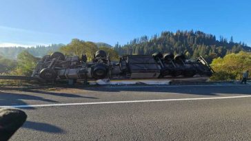 Mureș: Autocamion frigorific încărcat cu carne, răsturnat în afara DN 15, la Stânceni; șoferul a refuzat transportul la spital