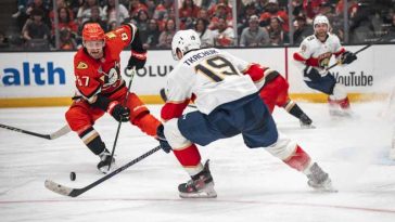 Hochei: NHL – Anaheim Ducks a câștigat după prelungiri cu Florida Panthers