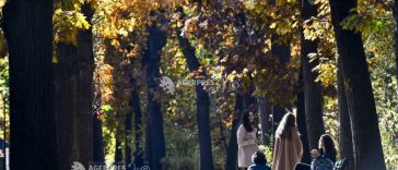 ANM: Vreme în general caldă, cu intervale de ploi pe arii restrânse, în următoarele două săptămâni