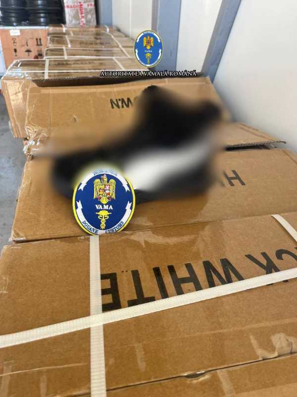 Încălțăminte de 4,9 milioane de lei, suspectată de încălcarea drepturilor de proprietate intelectuală, oprită la Isaccea