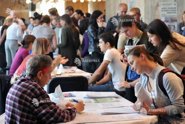 ANOFM: Peste 34.100 de locuri de muncă sunt disponibile la nivel național
