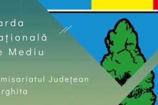 Harghita: Garda de Mediu a aplicat amenzi de peste 1.7 milioane de lei în primele nouă luni