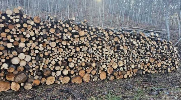 Buzău: Direcția Sivică estimează că vinde 31.000 de mc de lemn de foc; cantitatea poate fi suplimentată până la 46.000 de mc