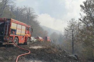 Bihor: Intervenții ale pompierilor la 760 de incendii de vegetație în acest an, cu 36% mai multe față de 2025