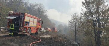 Bihor: Intervenții ale pompierilor la 760 de incendii de vegetație în acest an, cu 36% mai multe față de 2025