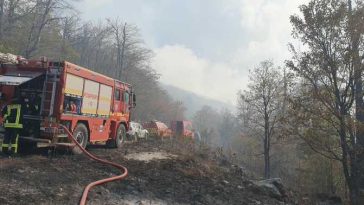 Bihor: Intervenții ale pompierilor la 760 de incendii de vegetație în acest an, cu 36% mai multe față de 2025