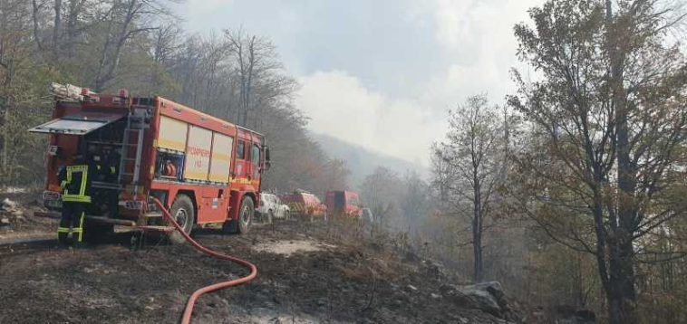 Bihor: Intervenții ale pompierilor la 760 de incendii de vegetație în acest an, cu 36% mai multe față de 2025