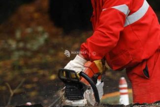 Sector 6: Un plop s-a prăbușit și a avariat patru autoturisme și un scuter; Primăria va acorda asistență proprietarilor
