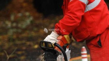 Sector 6: Un plop s-a prăbușit și a avariat patru autoturisme și un scuter; Primăria va acorda asistență proprietarilor