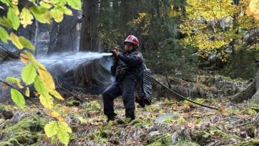 Hunedoara: Incendiul din Parcul Național Retezat, activ de peste două săptămâni; aproximativ cinci hectare-afectate (GALERIE FOTO)
