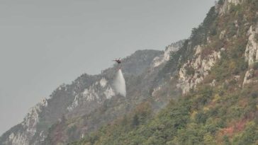 Caraș-Severin: Peste 2.100 de hectare afectate de incendiile din Parcul Natural Domogled