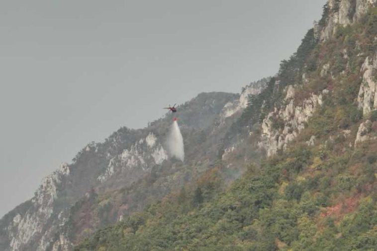 Caraș-Severin: Peste 2.100 de hectare afectate de incendiile din Parcul Natural Domogled