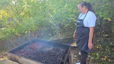 REPORTAJ/Neamț: Loznița Marcicăi Ursache din Piatra Șoimului, singura care mai fumegă tradițional și astăzi