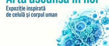 Mureș: Comunitatea academică, invitată să exploreze corpul uman prin intermediul artelor vizuale