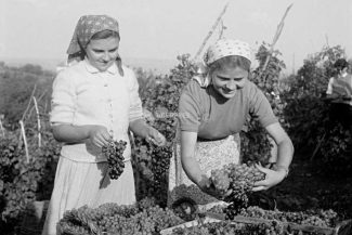 15 octombrie – Ziua internațională a femeilor din mediul rural (ONU)