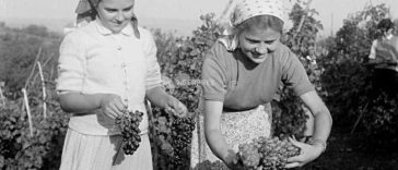 15 octombrie – Ziua internațională a femeilor din mediul rural (ONU)