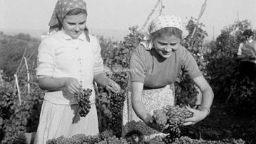 15 octombrie – Ziua internațională a femeilor din mediul rural (ONU)