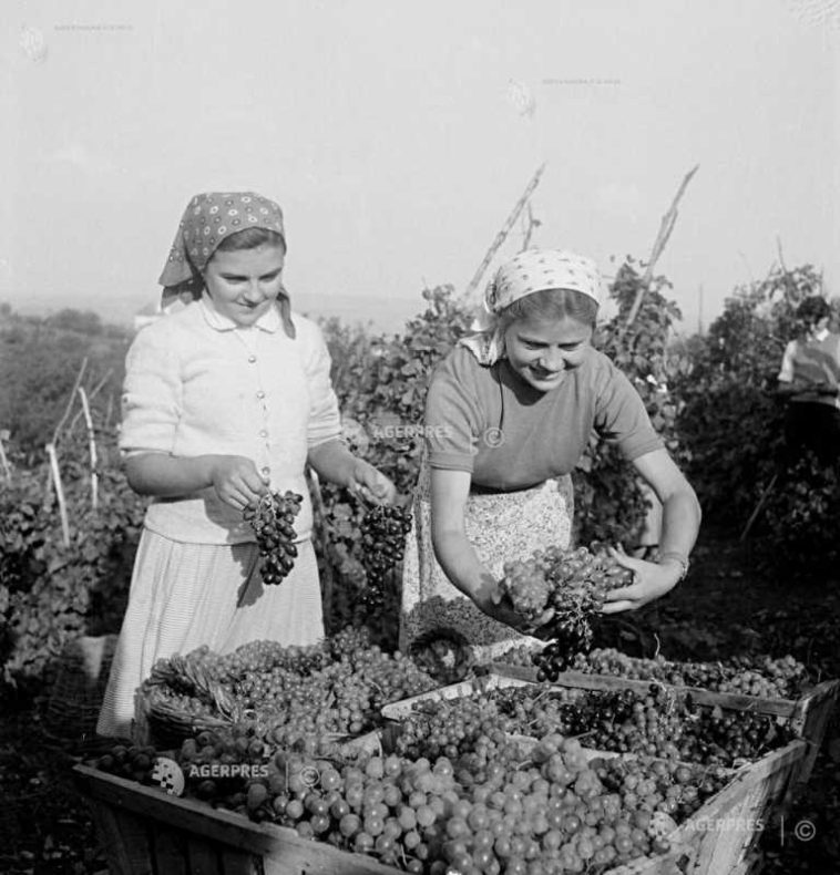 15 octombrie – Ziua internațională a femeilor din mediul rural (ONU)