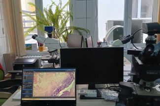 Argeș: Laboratorul de Anatomie Patologică al SJU Pitești, dotat cu aparatură de ultimă generație pentru diagnosticarea cancerului