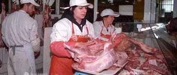 Program de guvernare/Necesarul de carne de porc ar urma să fie acoperit integral din producția internă până în 2028