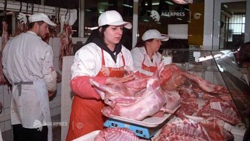 Program de guvernare/Necesarul de carne de porc ar urma să fie acoperit integral din producția internă până în 2028