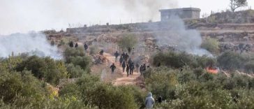 Cisiordania/Coloniști israelieni au dat foc măslinilor dintr-un sat palestinian și au rănit două persoane, inclusiv o jurnalistă