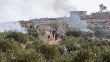 Cisiordania/Coloniști israelieni au dat foc măslinilor dintr-un sat palestinian și au rănit două persoane, inclusiv o jurnalistă