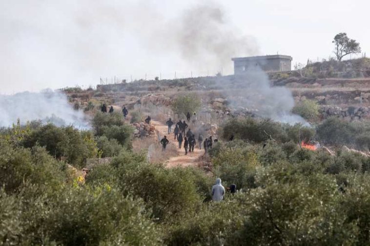 Cisiordania/Coloniști israelieni au dat foc măslinilor dintr-un sat palestinian și au rănit două persoane, inclusiv o jurnalistă