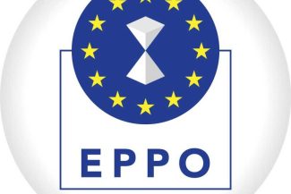 Cinci persoane din România, trimise în judecată de Parchetul European pentru o fraudă de 1,8 milioane de euro