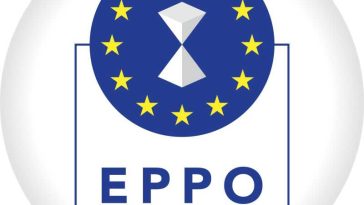 Cinci persoane din România, trimise în judecată de Parchetul European pentru o fraudă de 1,8 milioane de euro