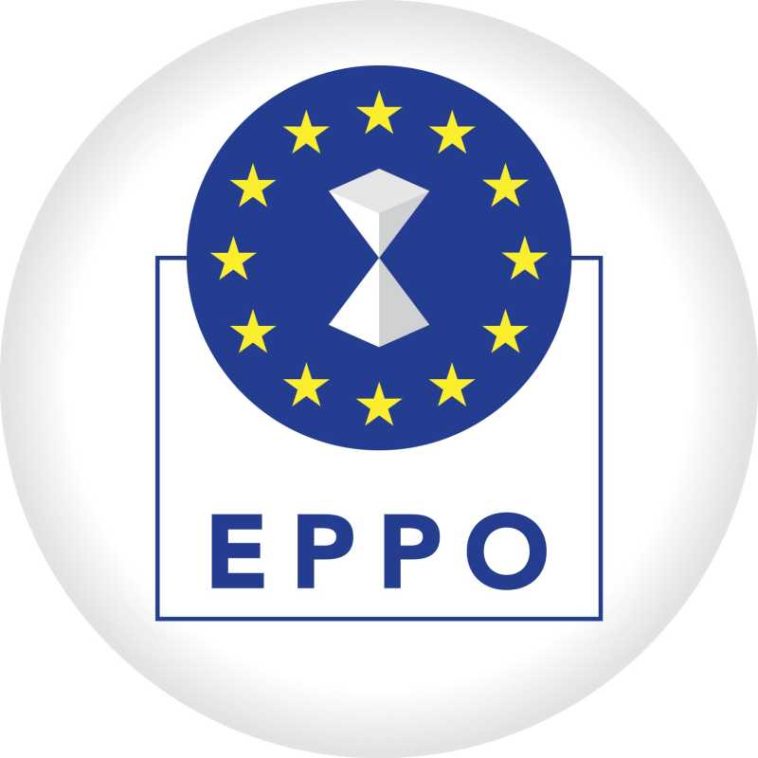 Cinci persoane din România, trimise în judecată de Parchetul European pentru o fraudă de 1,8 milioane de euro