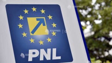 Liberalii decid, sâmbătă, cum vor vota la învestirea Guvernului Niculescu