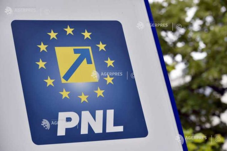 Liberalii decid, sâmbătă, cum vor vota la învestirea Guvernului Niculescu