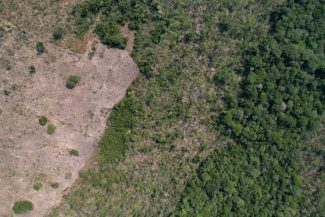 Defrișările din Amazonia braziliană, la cel mai scăzut nivel din ultimii aproape 40 de ani