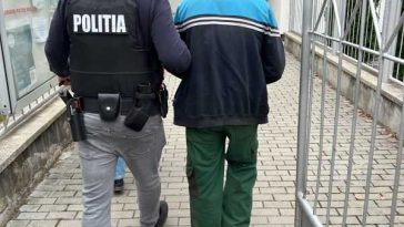 Sibiu: Bărbat reținut după ce a aruncat în râul Sadu un pui de câine într-un sac legat cu sârmă