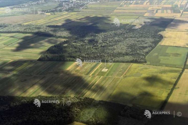 Un G7 al Agriculturii la Paris pentru a sprijini agriculturile afectate de șocurile globale