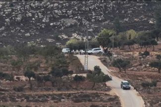 Israel: Mai mulți suspecți arestați în legătură cu atacurile asupra unei fotojurnaliste americane și a unor diplomați europeni