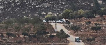 Israel: Mai mulți suspecți arestați în legătură cu atacurile asupra unei fotojurnaliste americane și a unor diplomați europeni