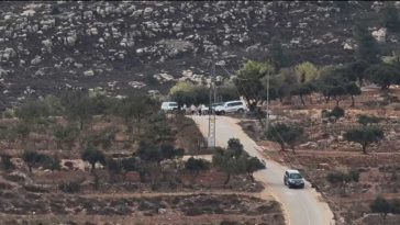 Israel: Mai mulți suspecți arestați în legătură cu atacurile asupra unei fotojurnaliste americane și a unor diplomați europeni