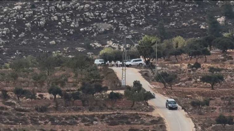 Israel: Mai mulți suspecți arestați în legătură cu atacurile asupra unei fotojurnaliste americane și a unor diplomați europeni