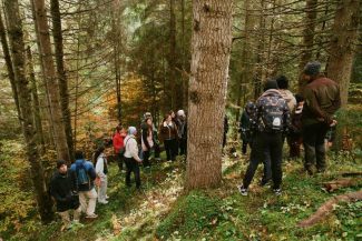Harghita: O mie de puieți de molid vor fi plantați în zona Lacul Roșu, în cadrul unui proiect Erasmus+ (GALERIE FOTO)