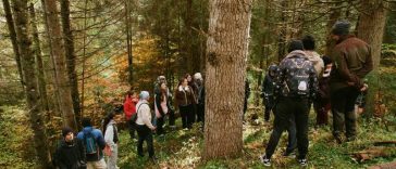Harghita: O mie de puieți de molid vor fi plantați în zona Lacul Roșu, în cadrul unui proiect Erasmus+ (GALERIE FOTO)