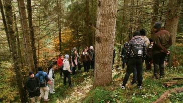 Harghita: O mie de puieți de molid vor fi plantați în zona Lacul Roșu, în cadrul unui proiect Erasmus+ (GALERIE FOTO)