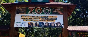 Mureș: Hrănire publică de lilieci și spectacole cu foc, la evenimentul nocturn de Halloween de la Zoo