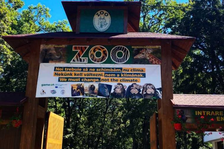 Mureș: Hrănire publică de lilieci și spectacole cu foc, la evenimentul nocturn de Halloween de la Zoo