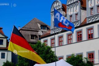 Germania: AfD anunță că a fost ținta unui atac cibernetic de amploare