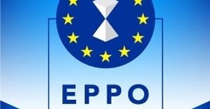Percheziții la birourile de la Parlamentul European ale grupului Patrioți pentru Europa