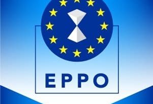 Percheziții la birourile de la Parlamentul European ale grupului Patrioți pentru Europa
