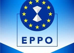 Percheziții la birourile de la Parlamentul European ale grupului Patrioți pentru Europa